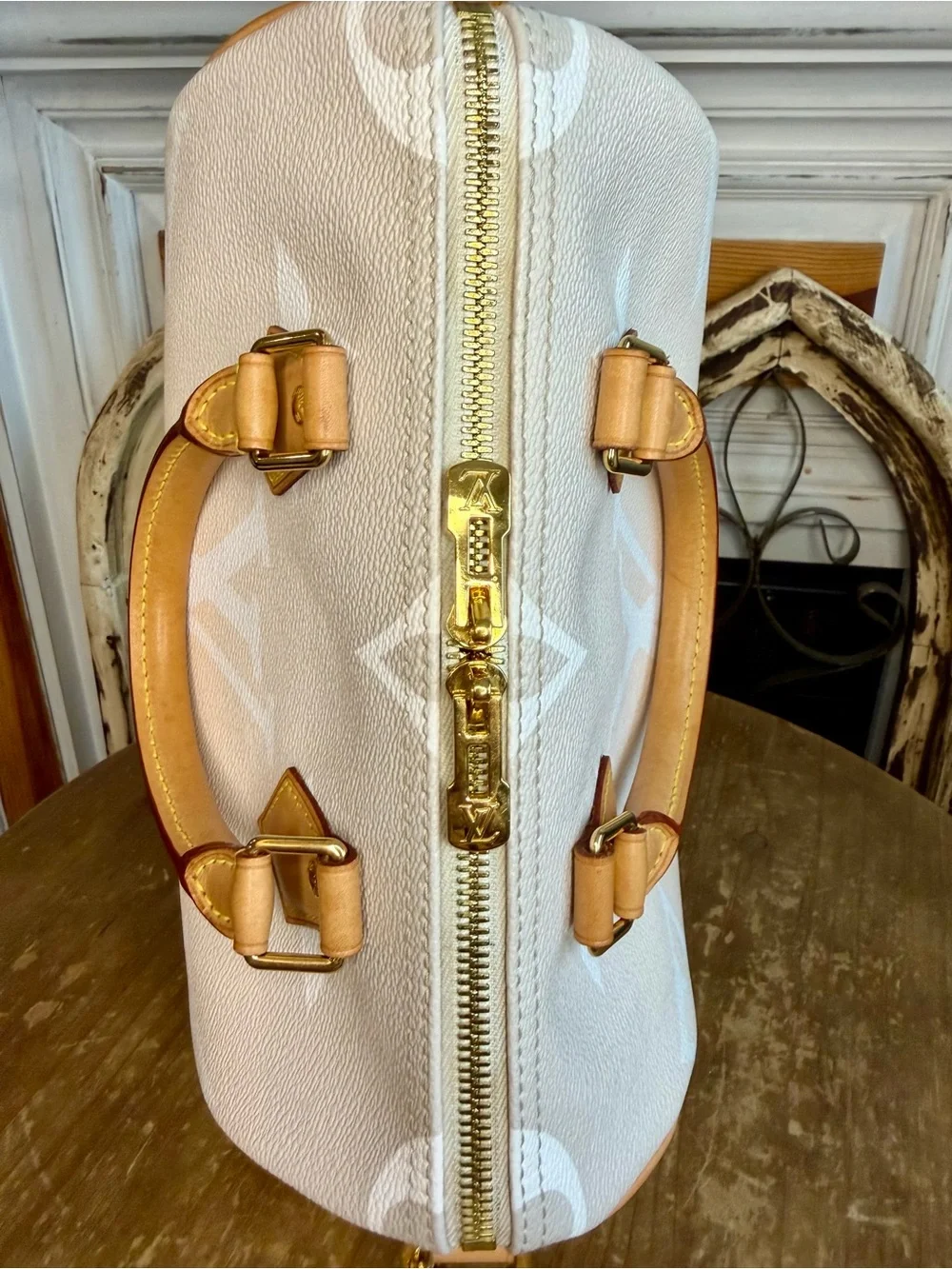 Louis Vuitton Speedy 25 By the Pool in Mist Speedy Bandoulière